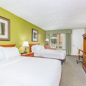 Queen Room Pool View